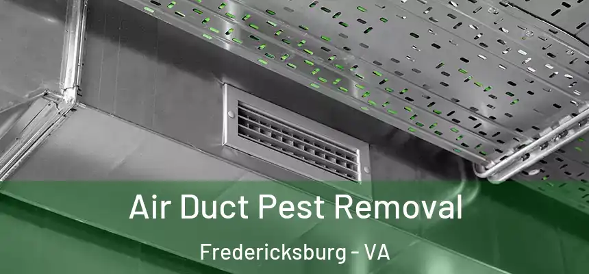 Air Duct Pest Removal Fredericksburg - VA
