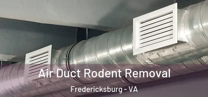  Air Duct Rodent Removal Fredericksburg - VA