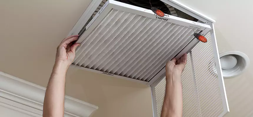 Preventive Cockroach-Proofing for Ducts in Fredericksburg
