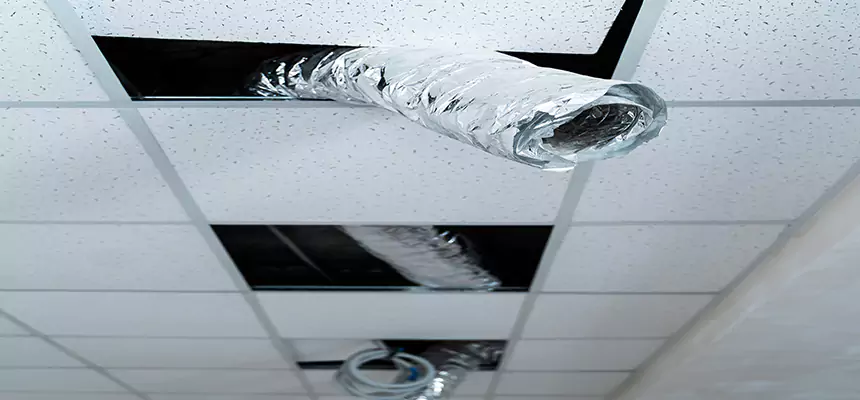 Our Air Duct Pet Hair Removal Services in Fredericksburg, VA