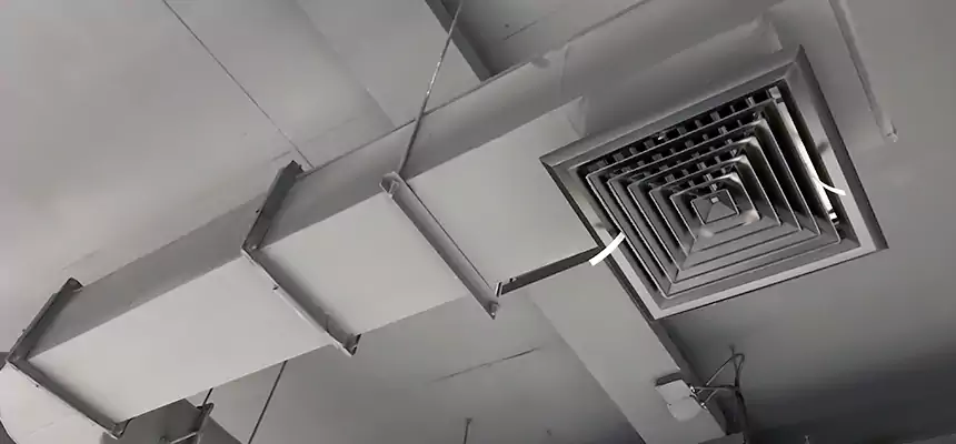 Our Pest Removal From Ducts Services in Fredericksburg, VA