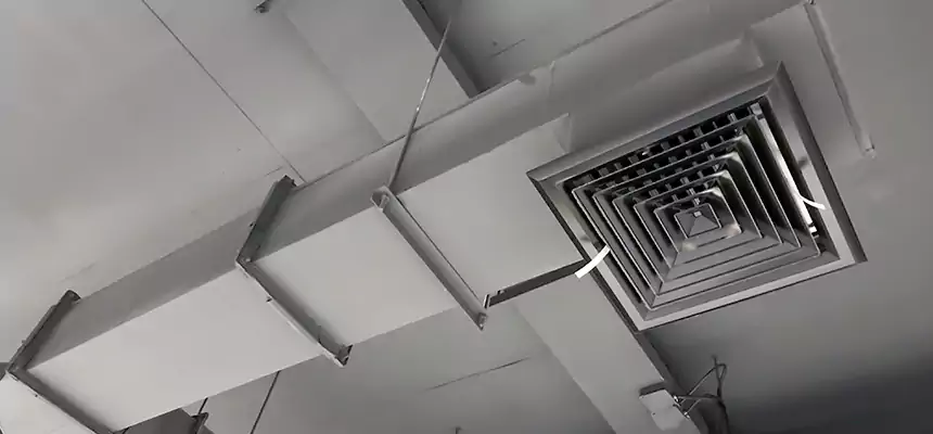 Our Rodent Droppings In Vents Services in Fredericksburg, VA