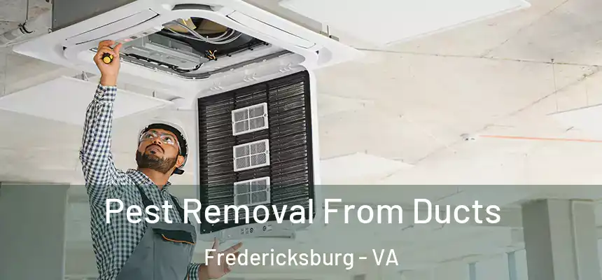  Pest Removal From Ducts Fredericksburg - VA