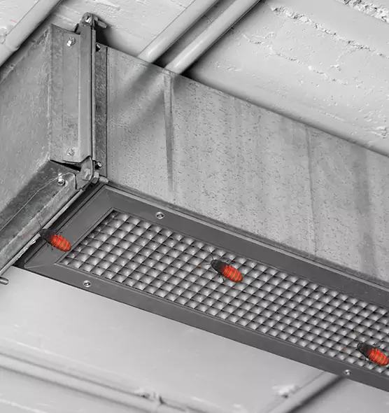 About Air Duct Cockroach Removal in Fredericksburg, VA