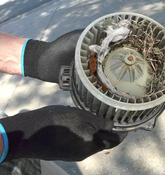 About Air Duct Rat Removal in Fredericksburg, VA