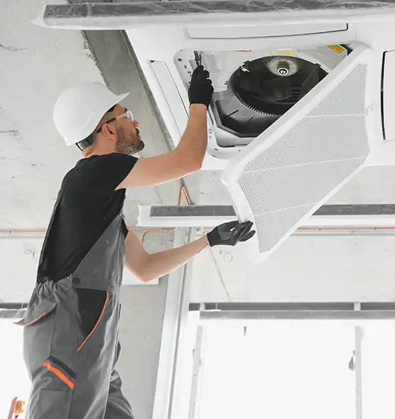 About Air Duct Rodent Removal in Fredericksburg, VA