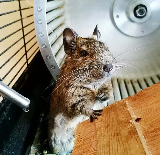 Why Homeowners & Businesses Trust Us Fredericksburg, VA