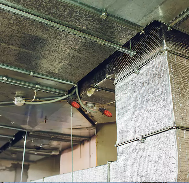 Why Homeowners & Businesses Trust Us Fredericksburg, VA?