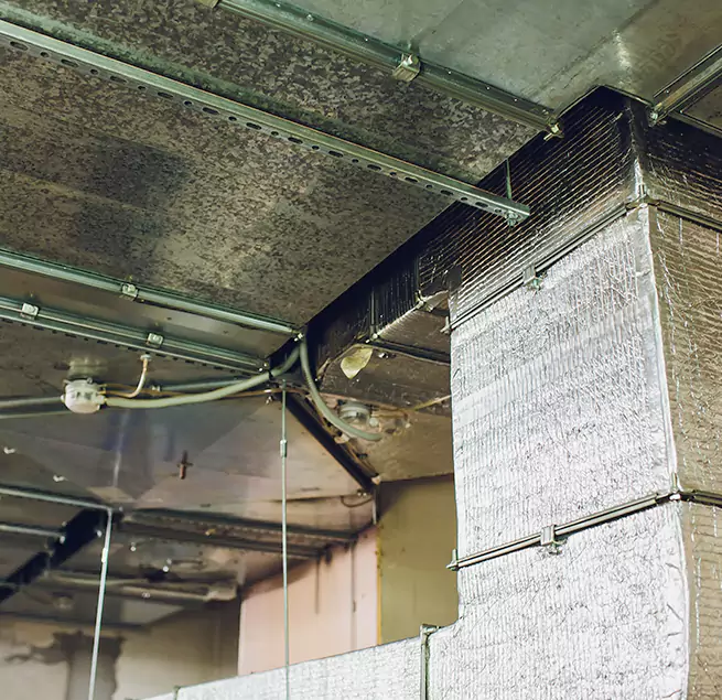 Why Homeowners & Businesses Trust Us in Fredericksburg, VA?